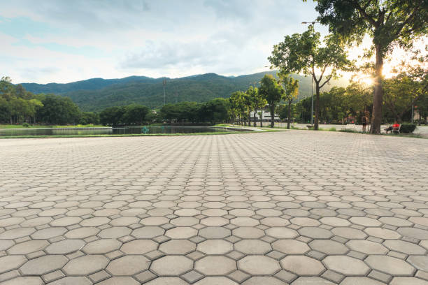 Best Custom Driveway Pavers  in Brandon, MS